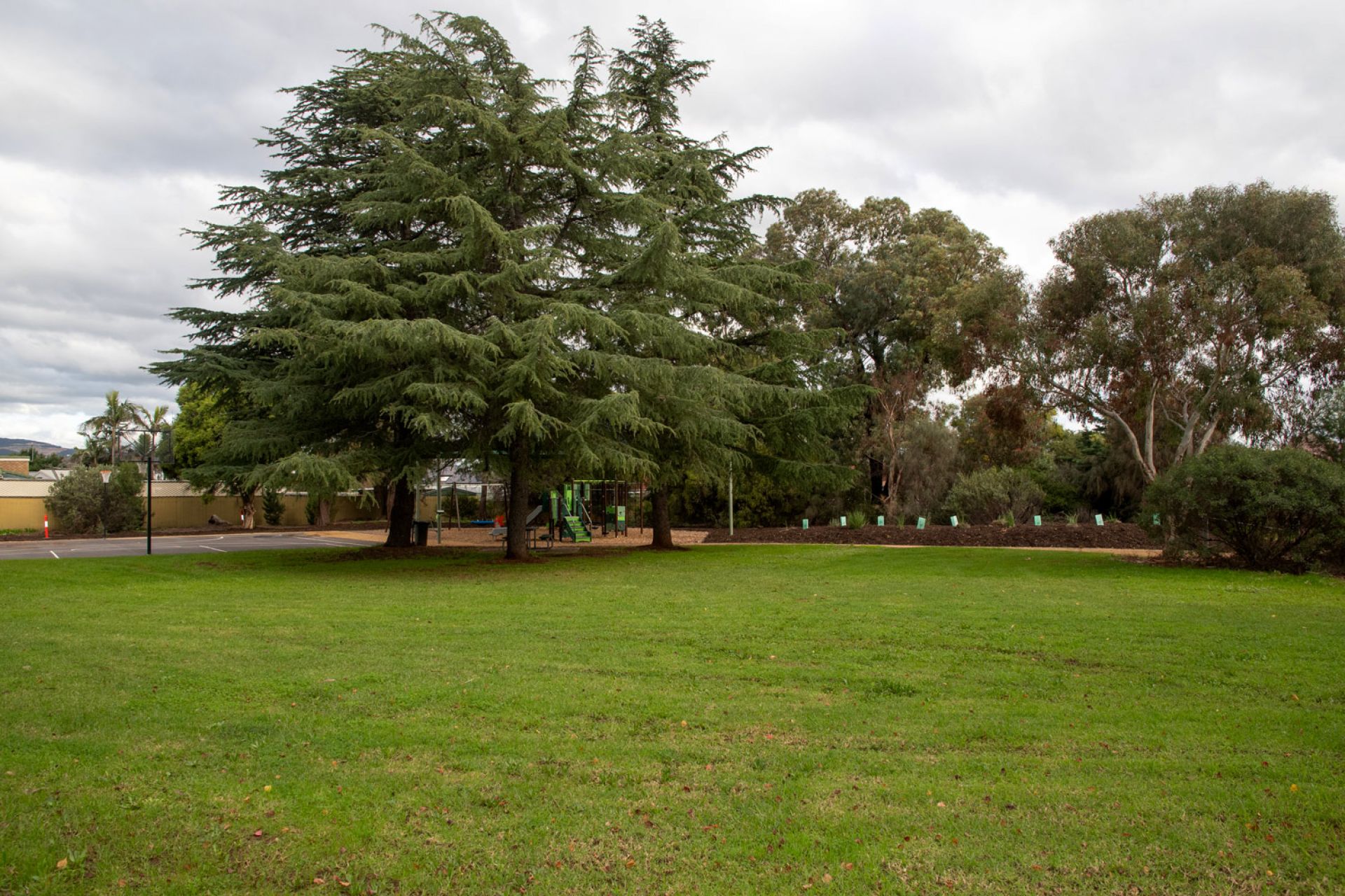 Tranquil Court Reserve grassed area