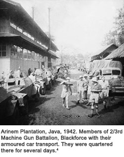 Arinem Plantation, Java, 1942