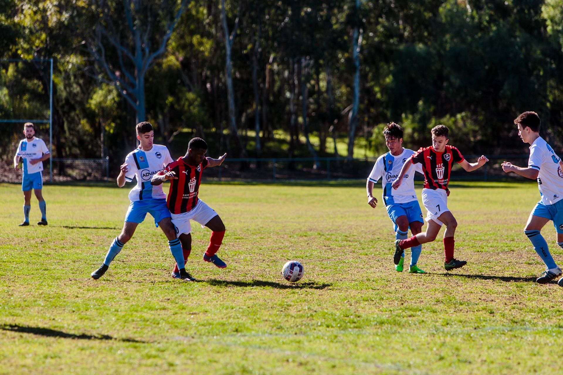 Athelstone Recreation Reserve - Soccer