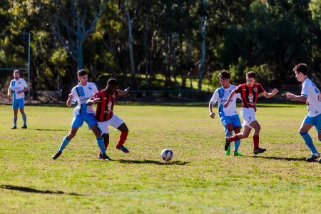 Athelstone Recreation Reserve - Soccer