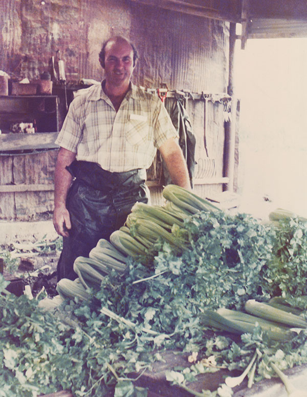 A man standing with a large pile of celery.