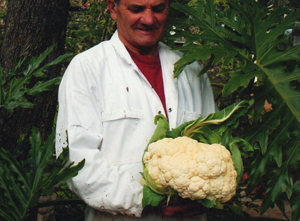 A man holding a cauliflower.