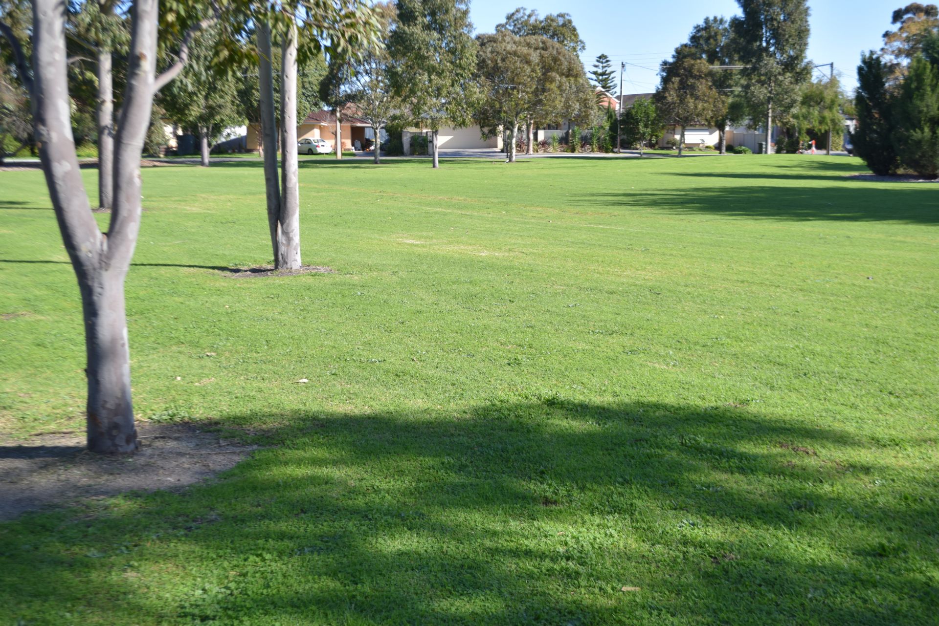 Moseley Road Reserve