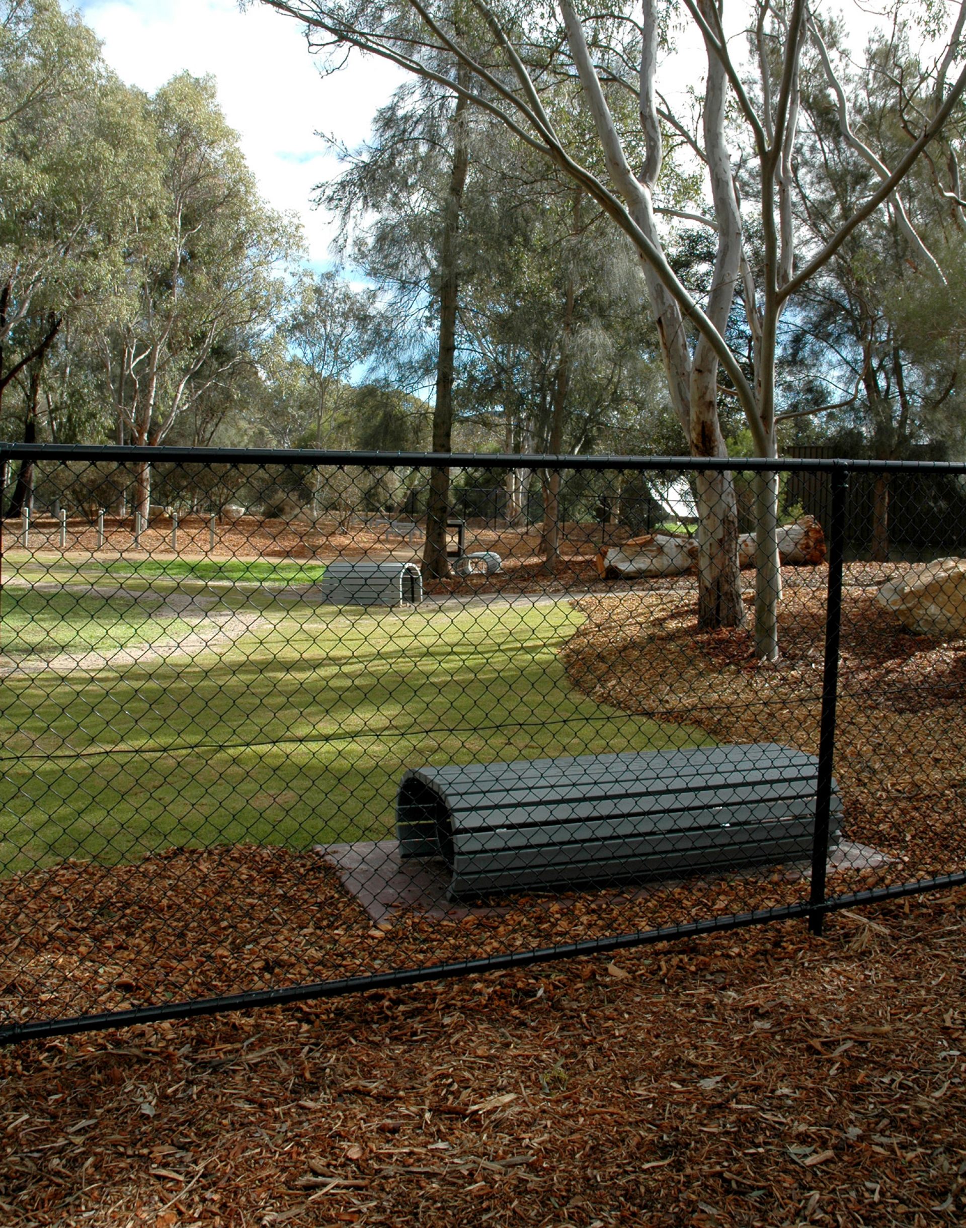 Four Paws Park Bench and Tunnel