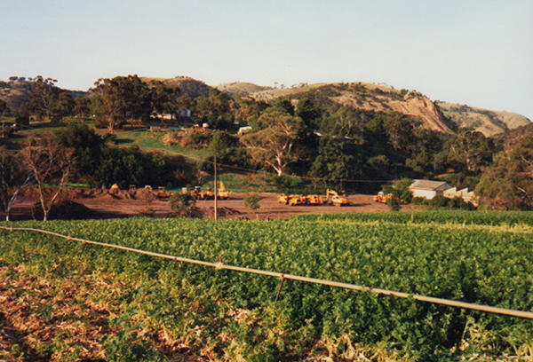 A market garden.