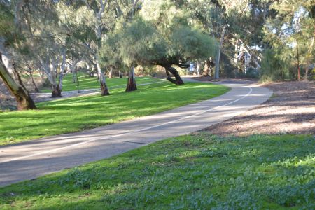 Riverview Drive Reserve
