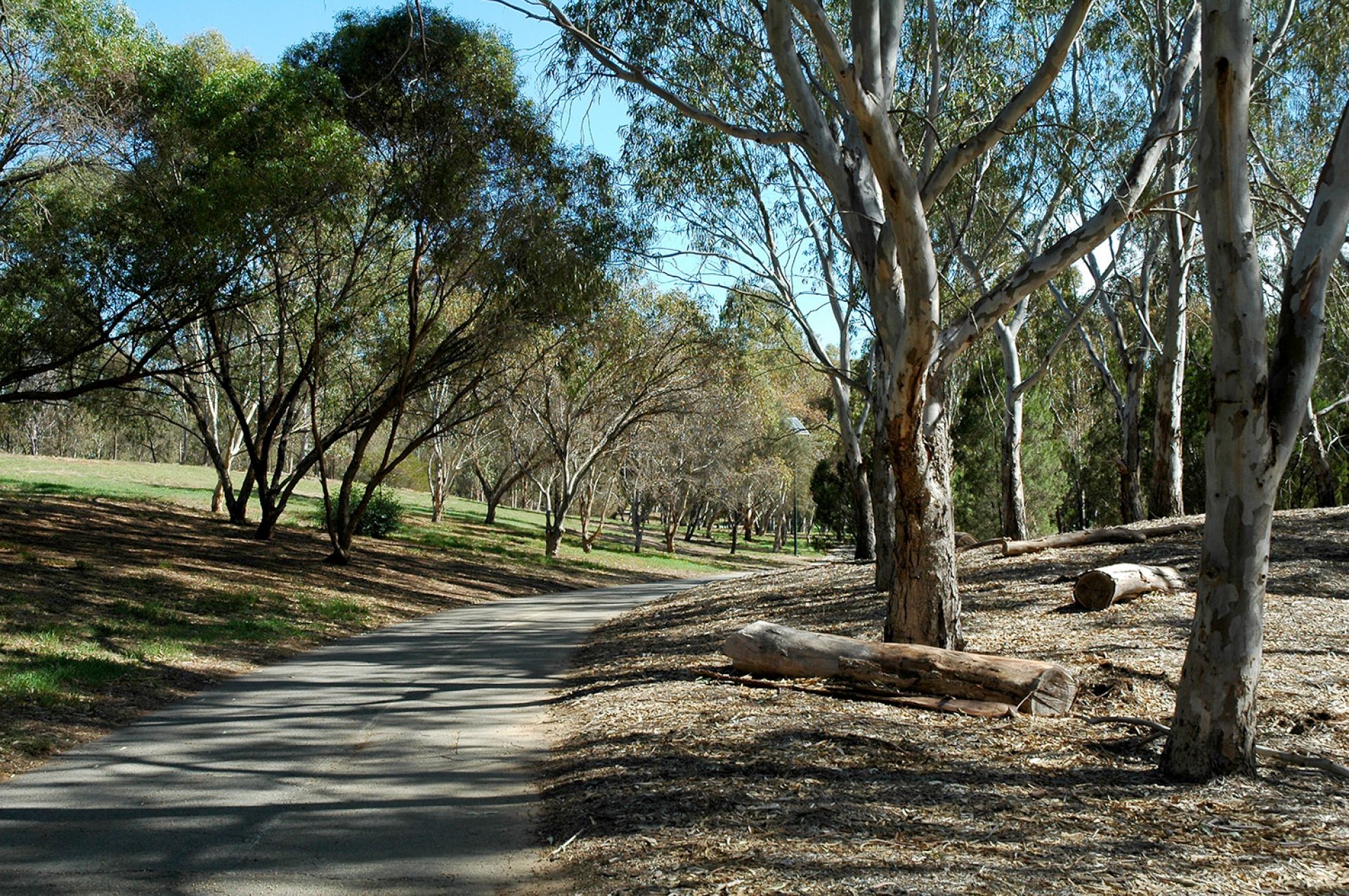 Athelstone Recreation Reserve - Linear Park