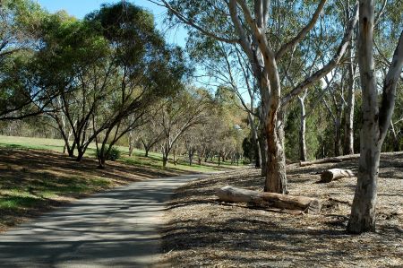 Athelstone Recreation Reserve - Linear Park
