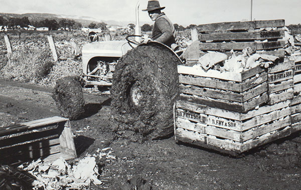 A tractor with muddy tyres.