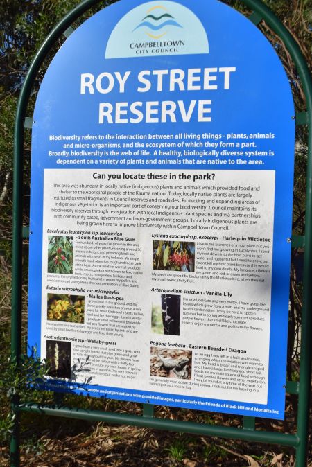 Roy Street Reserve