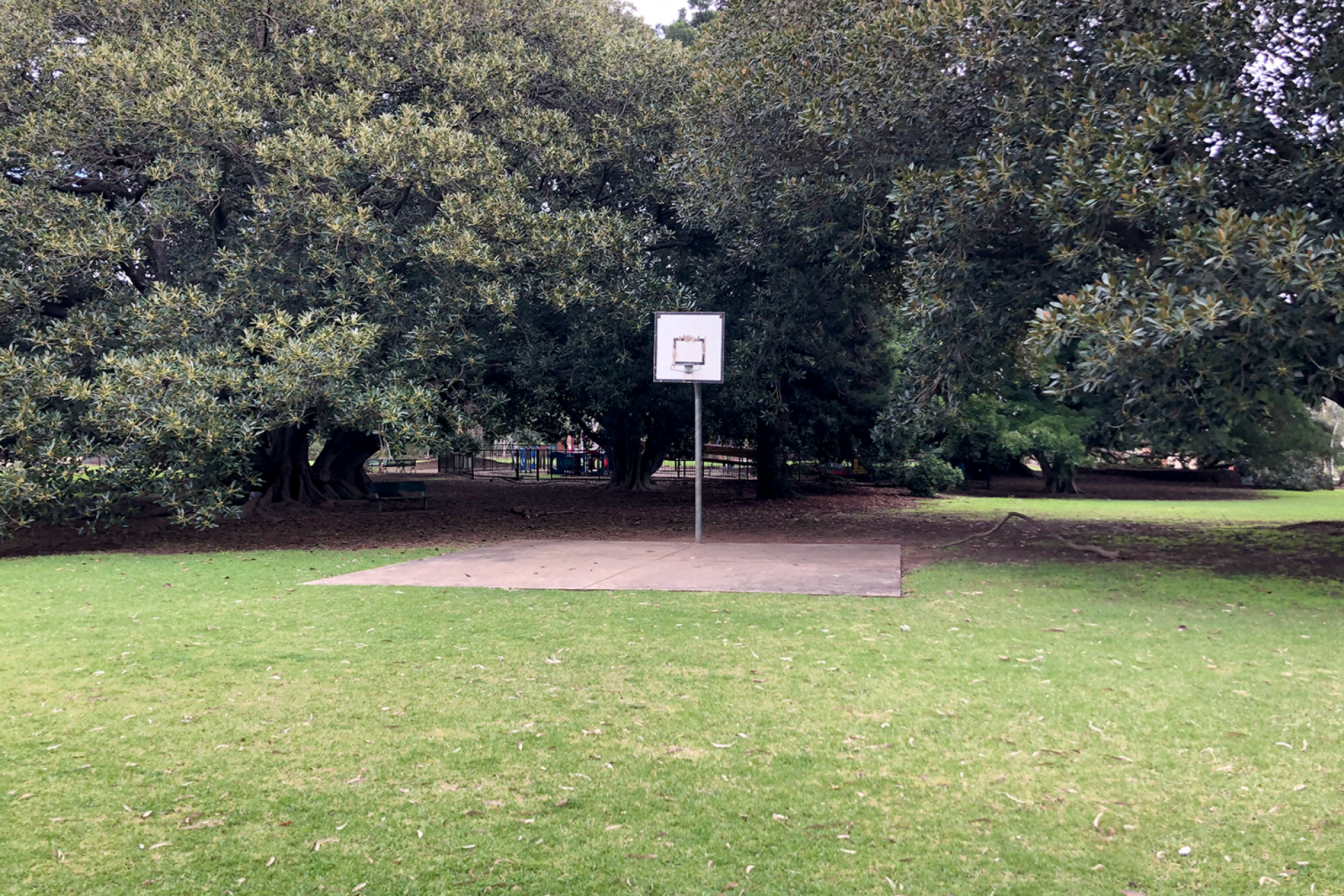 Gurners Reserve Basketball Hoop