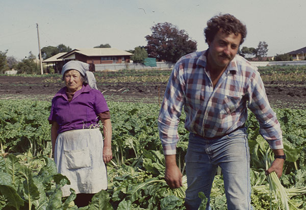 Eric Parletta and his mother, standing in a field of silverbeet