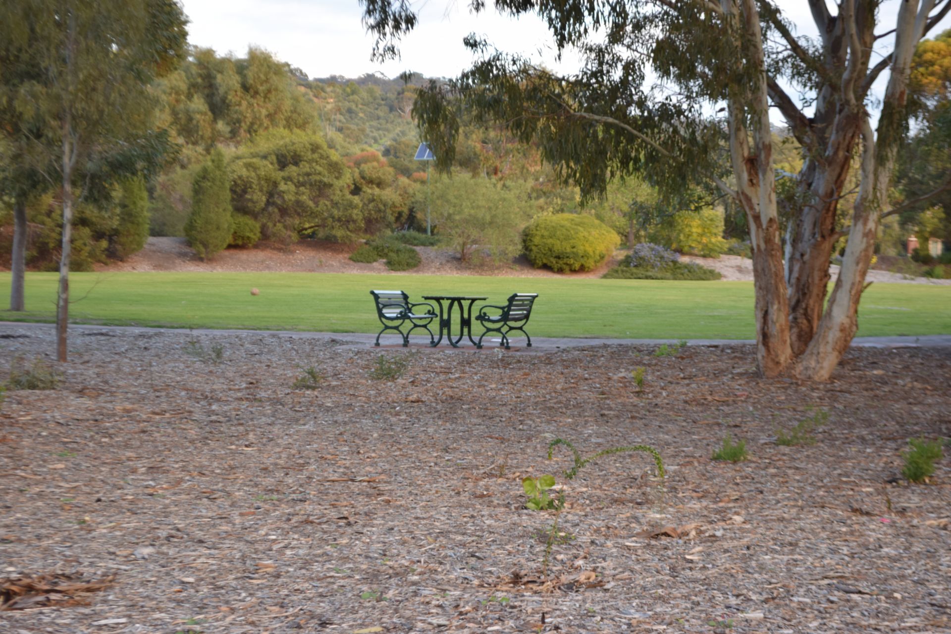 Padulesi Park