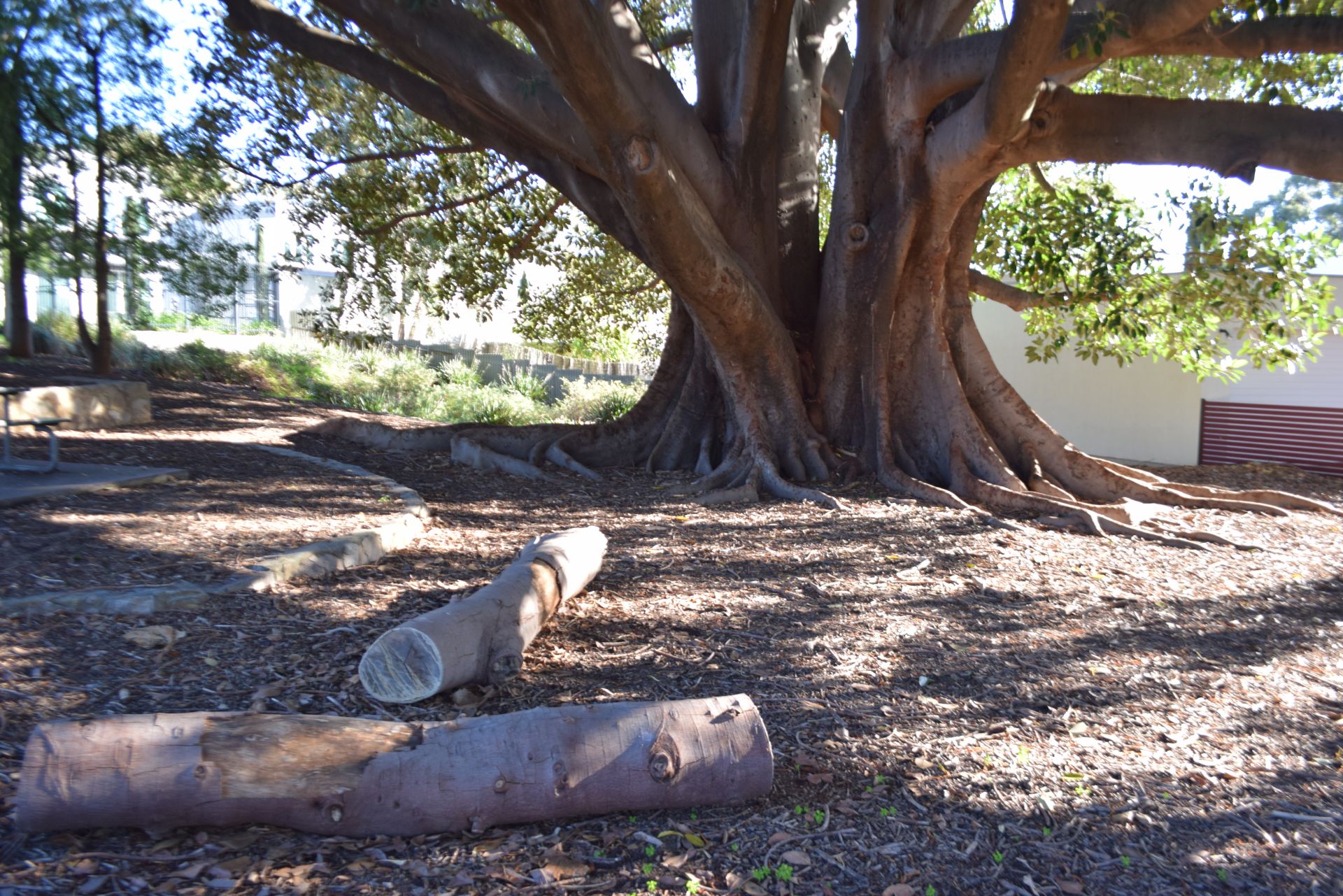 Pulford Grove Reserve