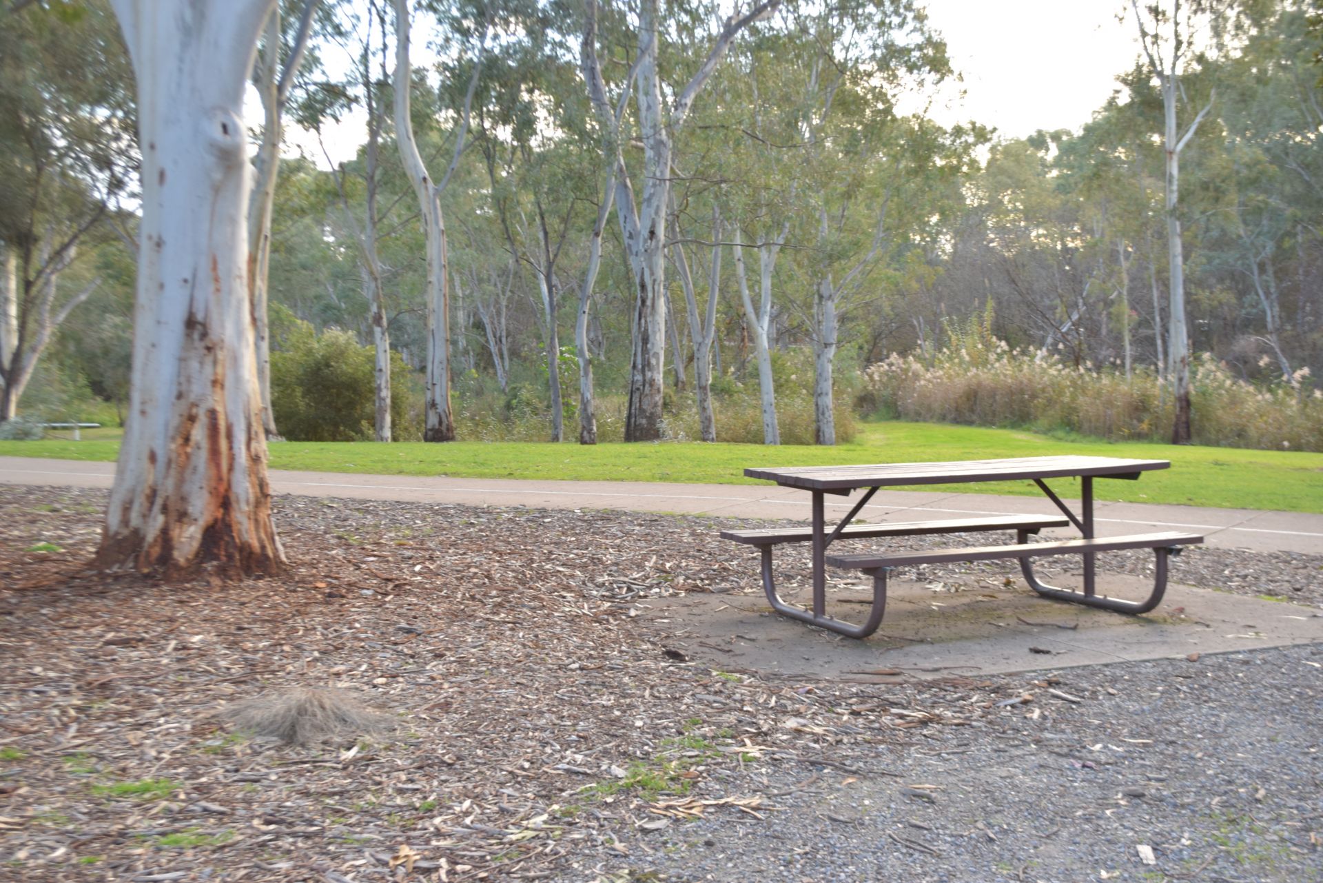 Rotary Park