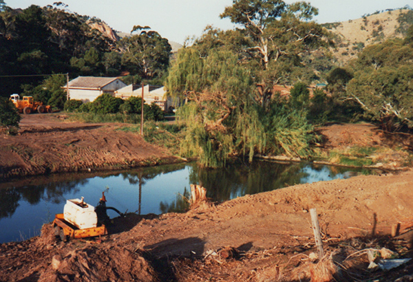 A river bank.