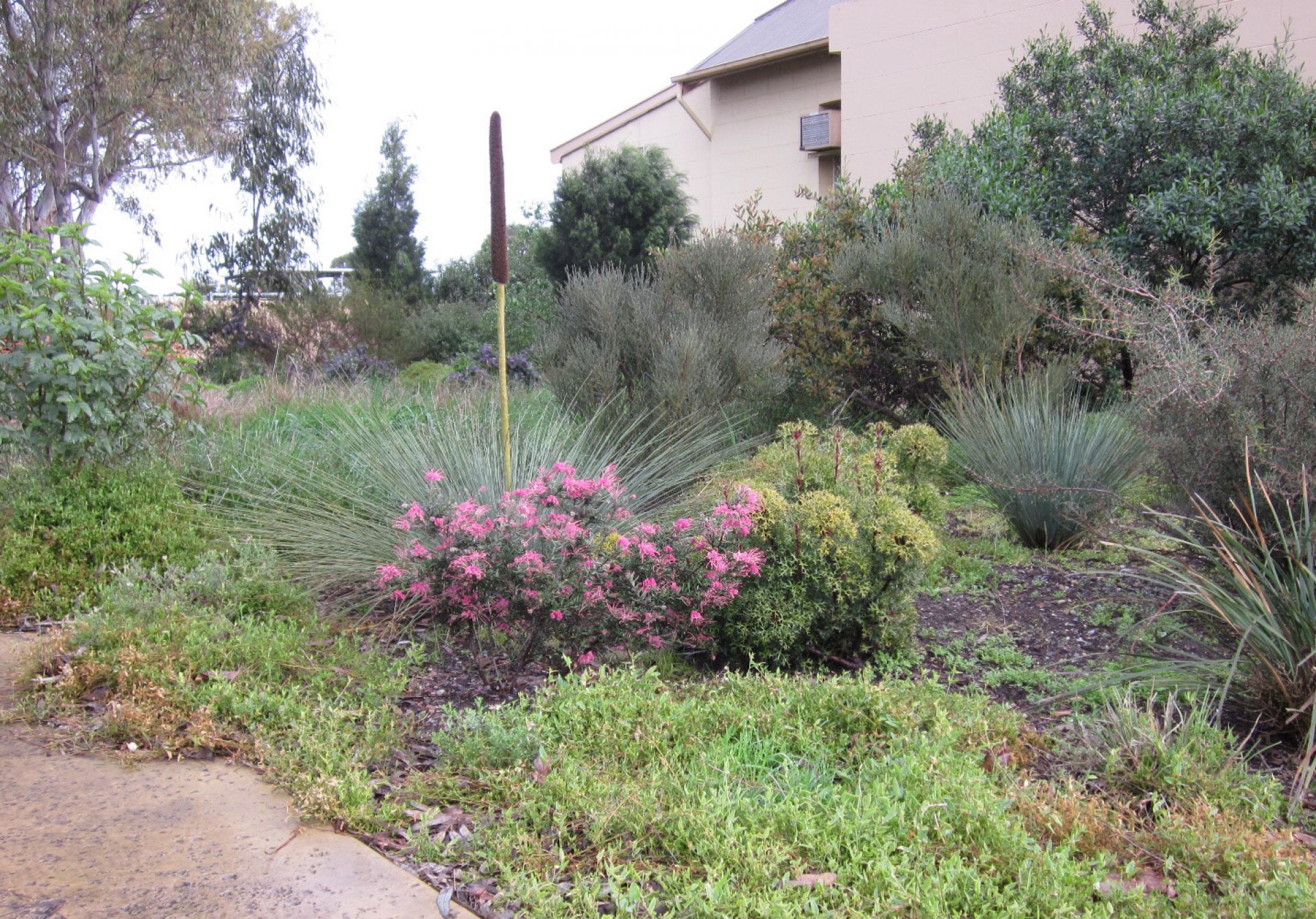 Biodiversity Park