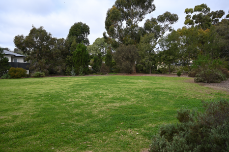Pacific Avenue Reserve Grassed Area