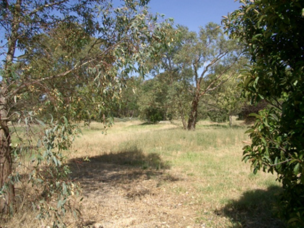 Lochiel Park site in 2005, prior to development.