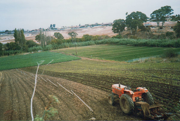 A tractor on the Fry family land.