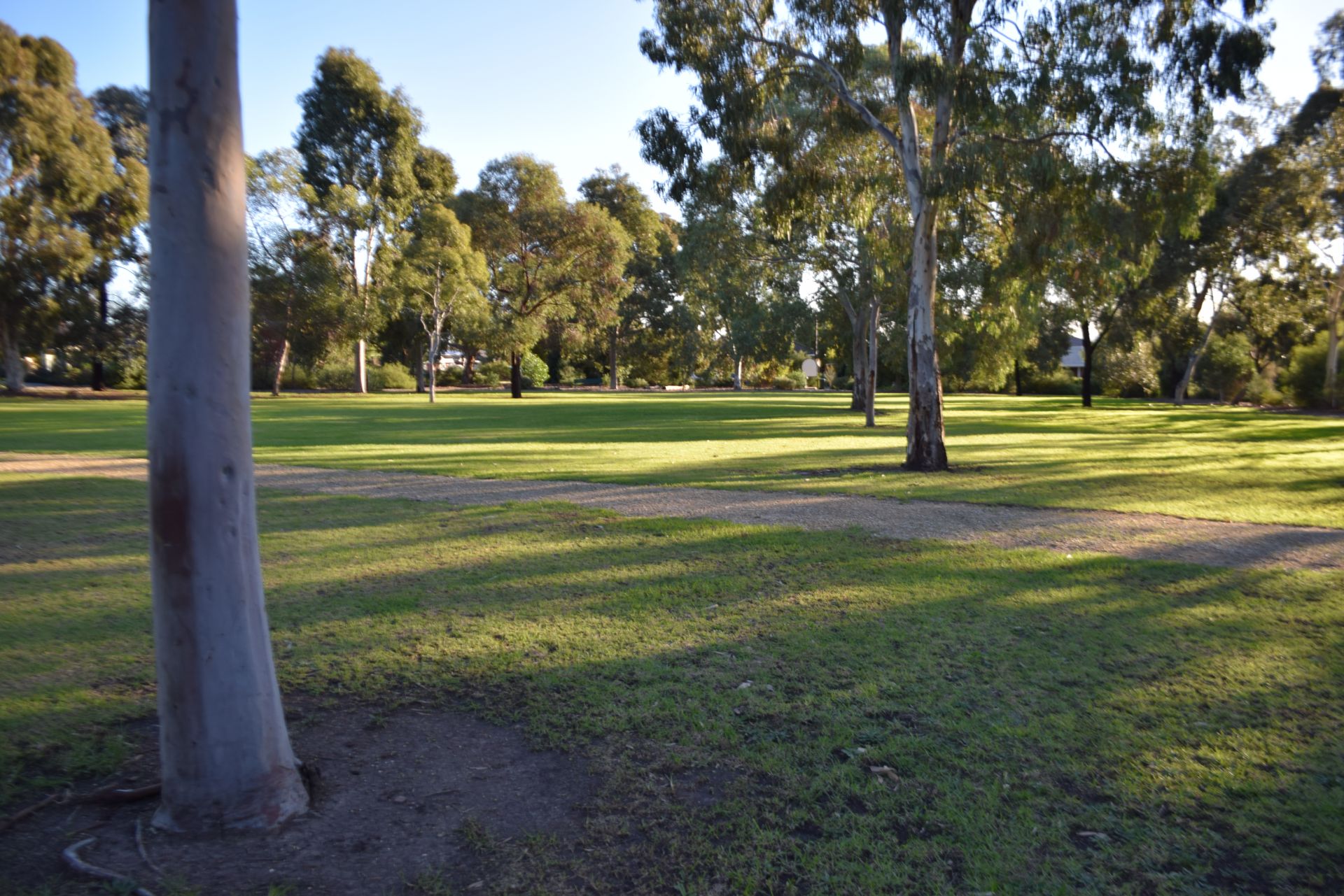 Henry Martin Reserve