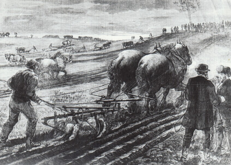 Artwork titled 'Ploughing Match'.