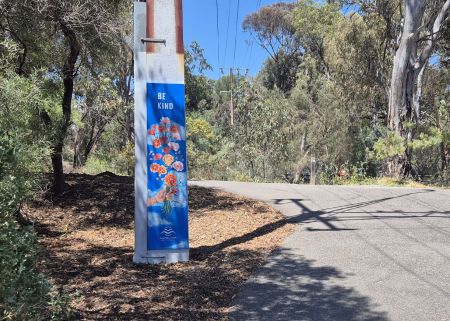 'Kindness stobie pole' at Lochiel Park