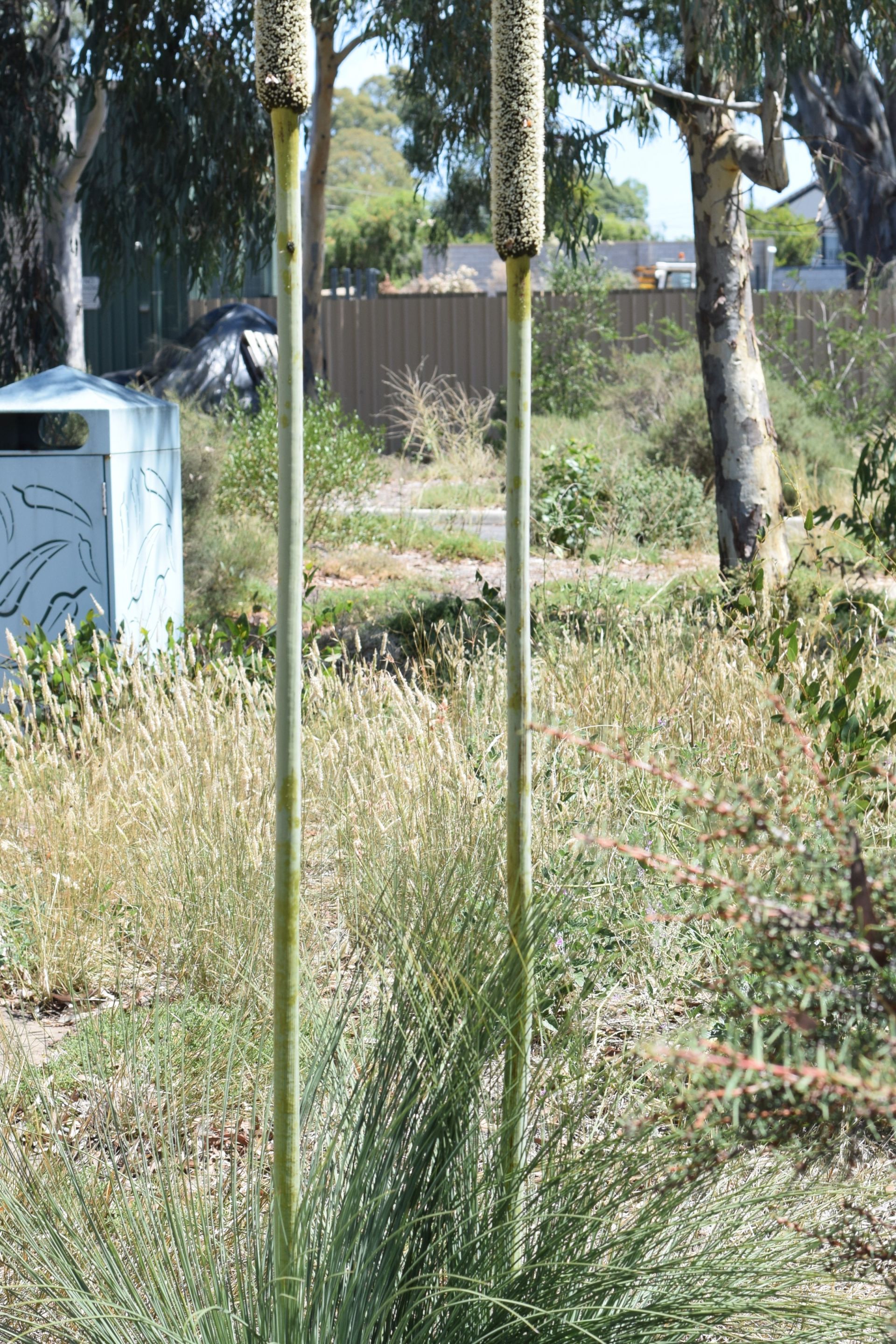 Biodiversity Park
