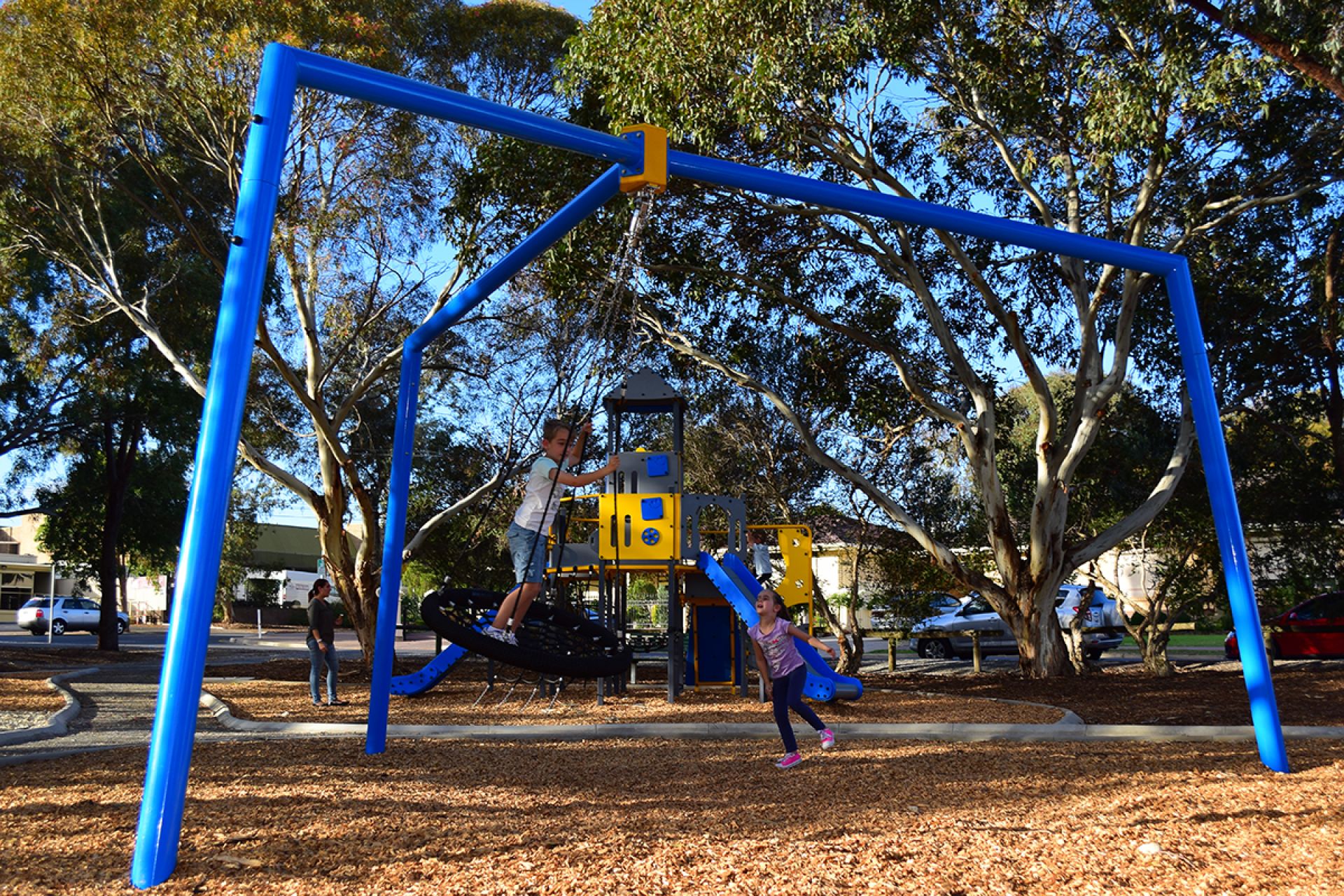 Flinders Parade Reserve - Nest Swing