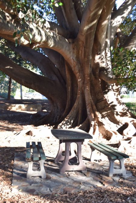 Pulford Grove Reserve