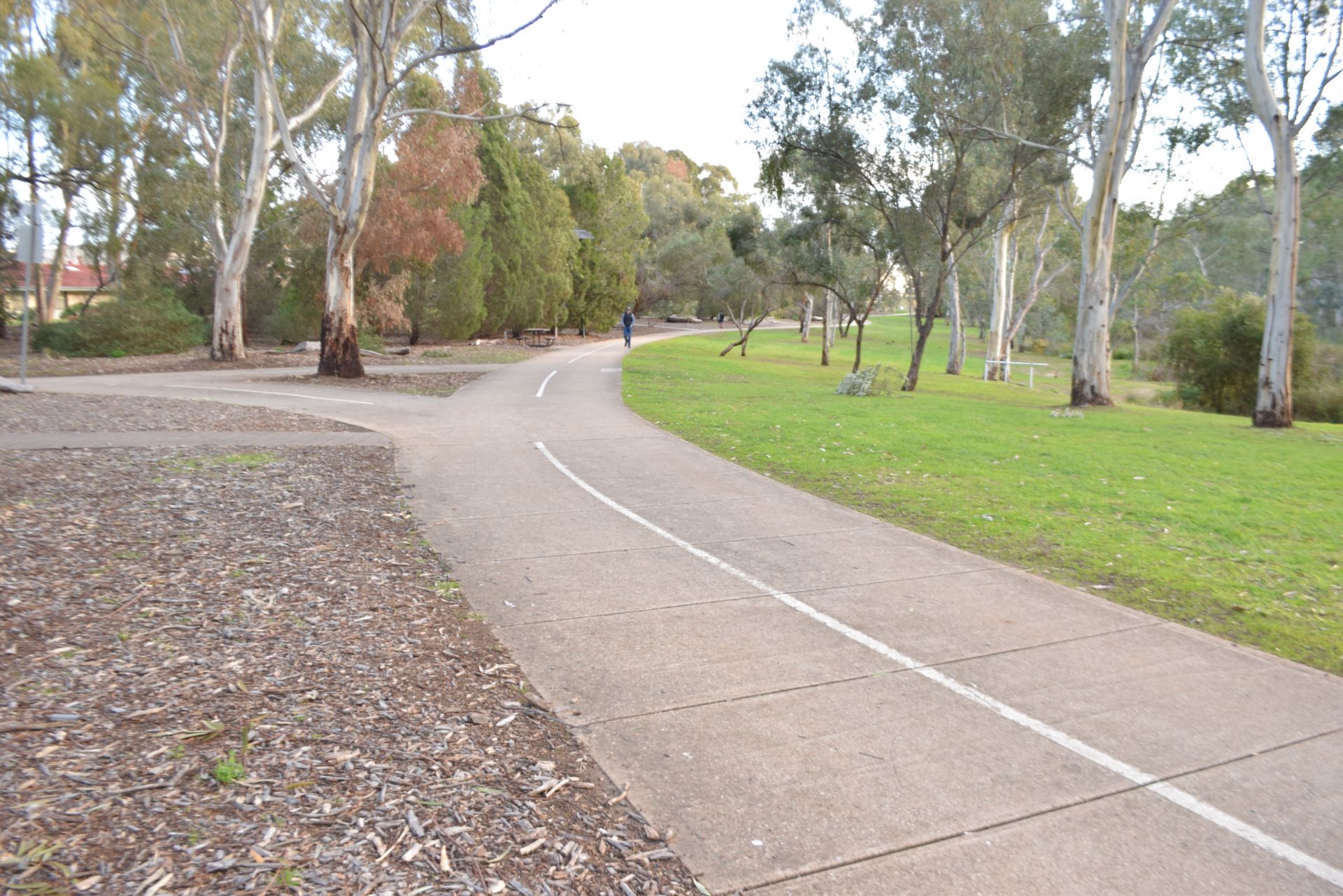 Rotary Park