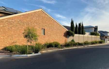 Tree Verge & Verge Garden