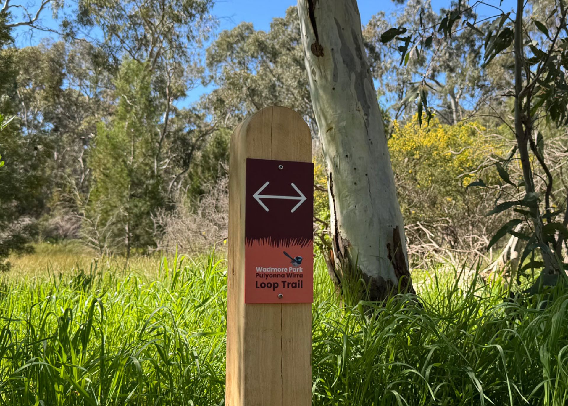 Wadmore Park - Pulyonna Wirra wayfinding signage