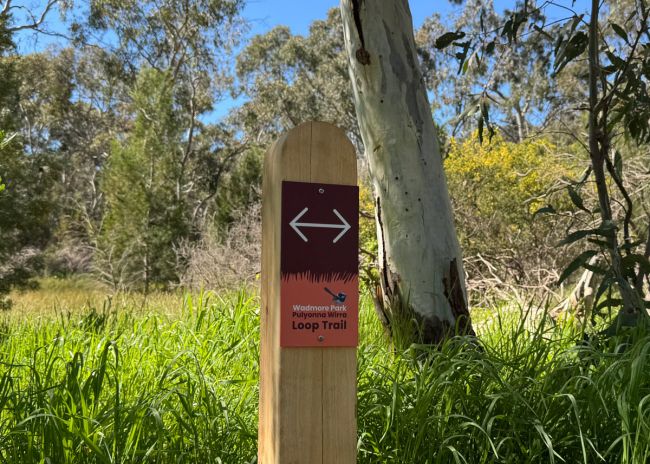 Wadmore Park - Pulyonna Wirra wayfinding signage