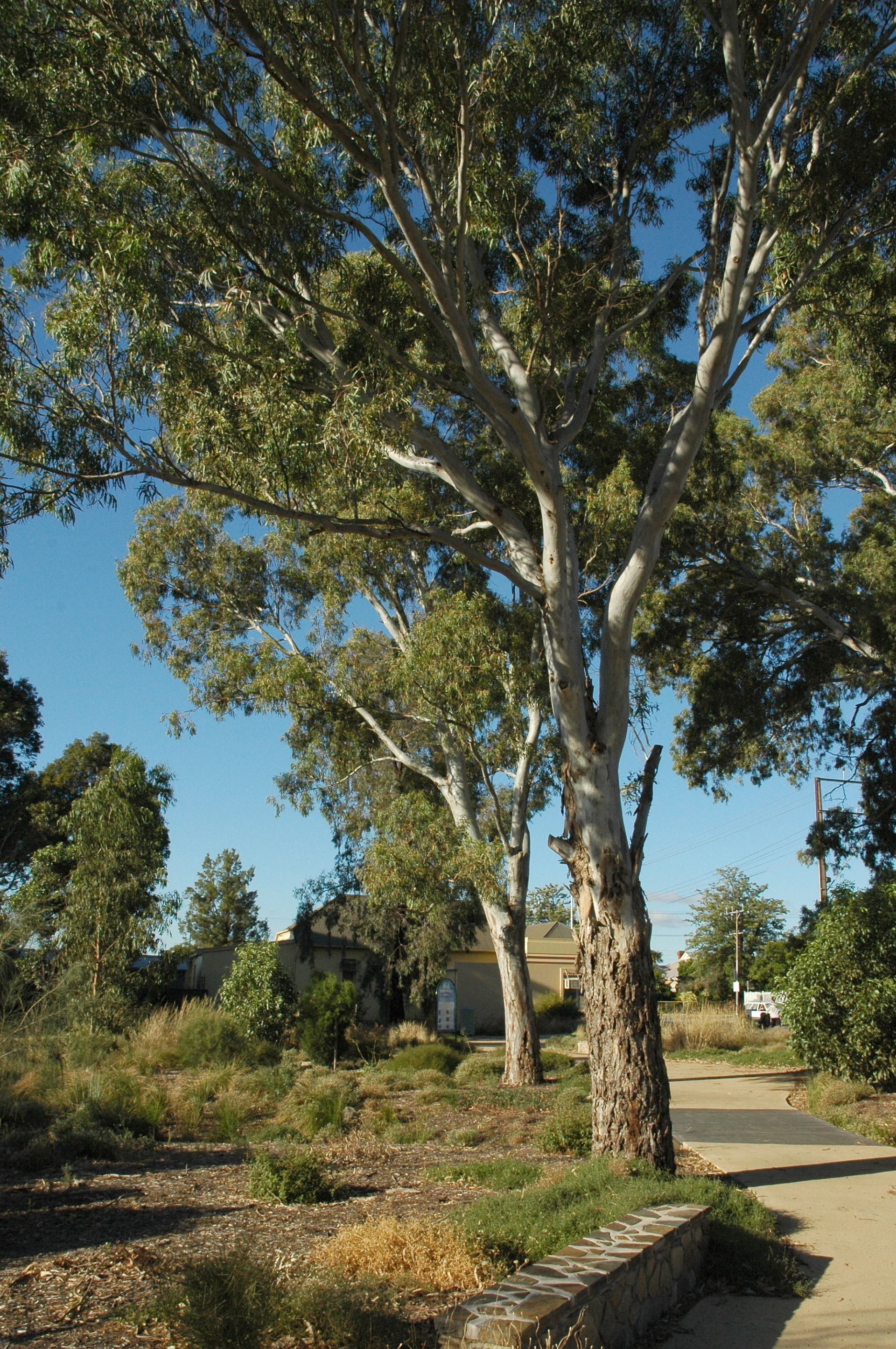 Biodiversity Park