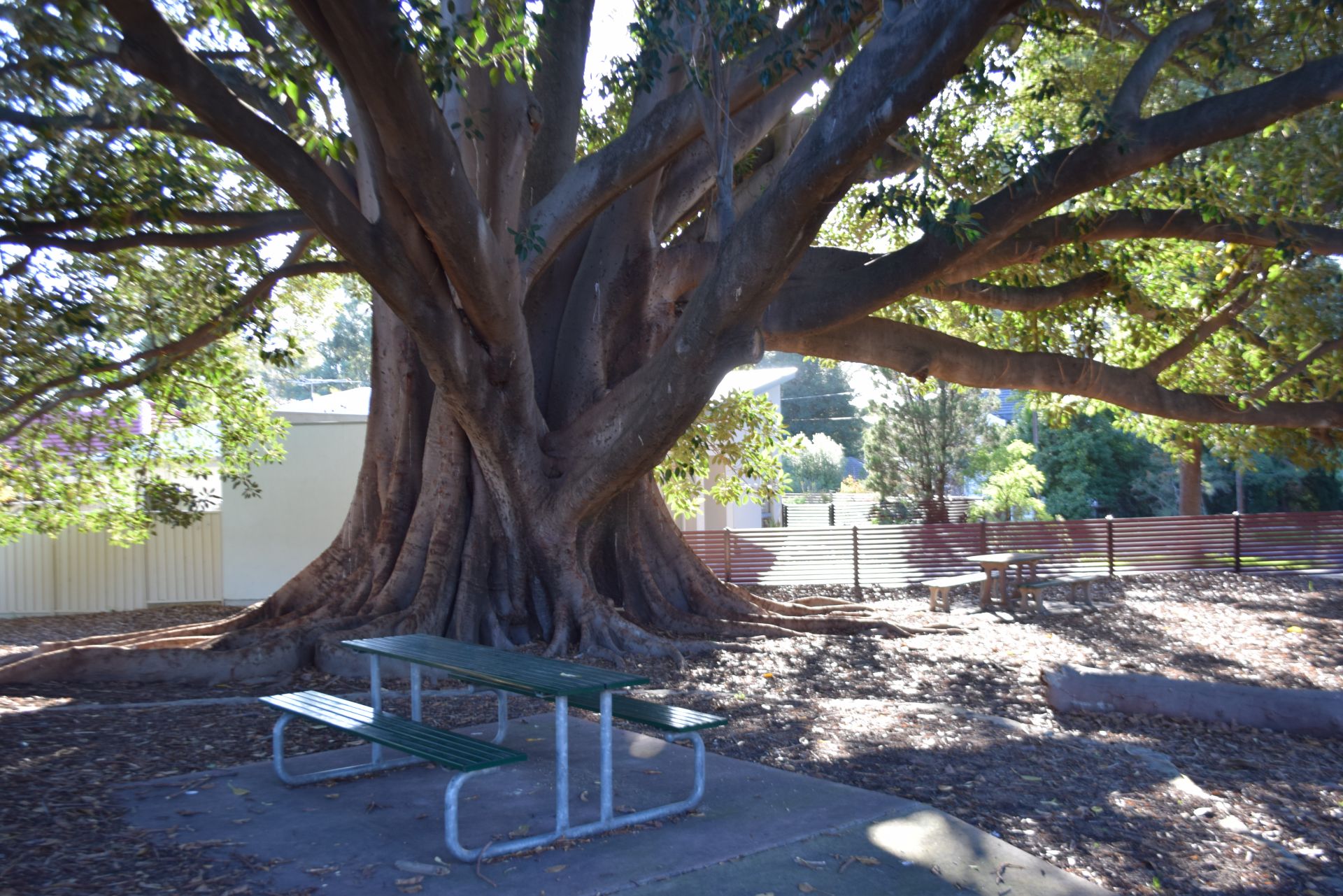 Pulford Grove Reserve