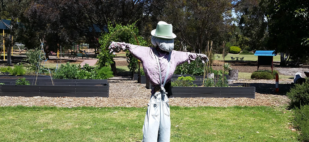 Athelstone Community Garden at Padulesi Park