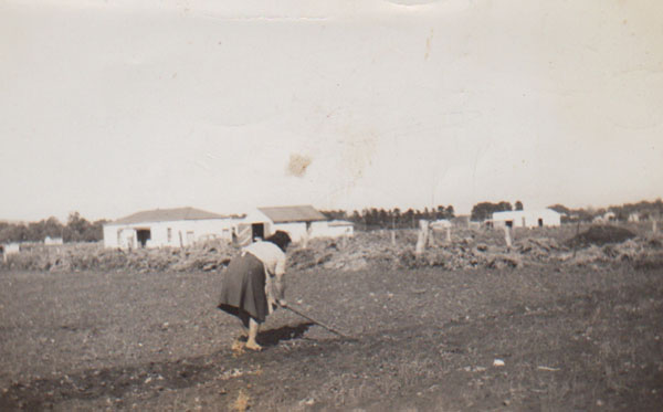A woman tilling the garden.