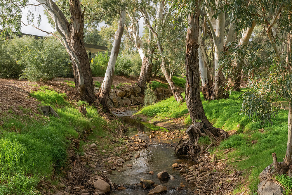 Fourth Creek 