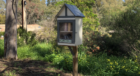 A little street library in a park.