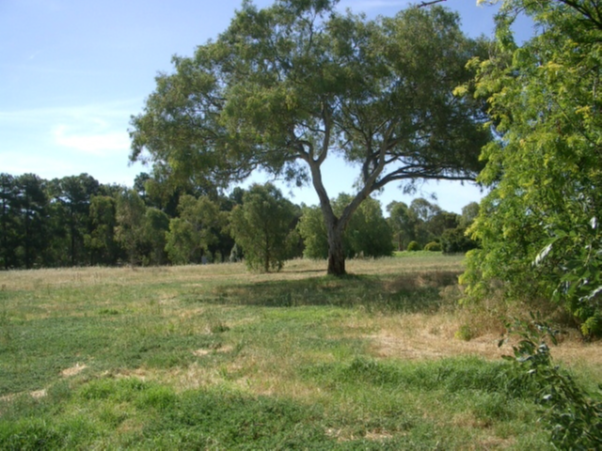 Lochiel Park site in 2005, prior to development.
