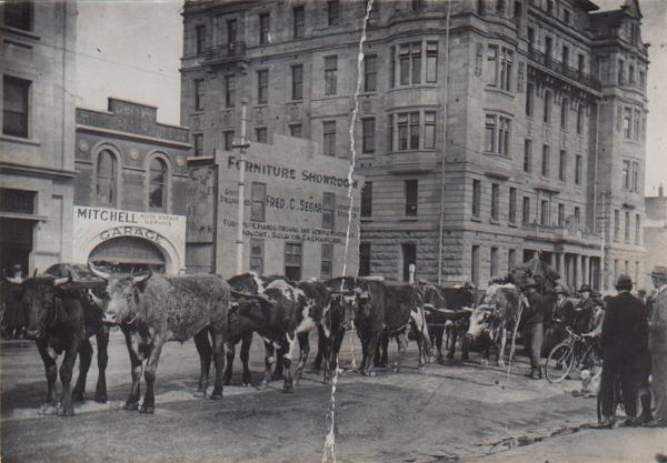 Fredrick Charles (Chummy) Austin and his son on Flinders Street, Adelaide circa 1920.