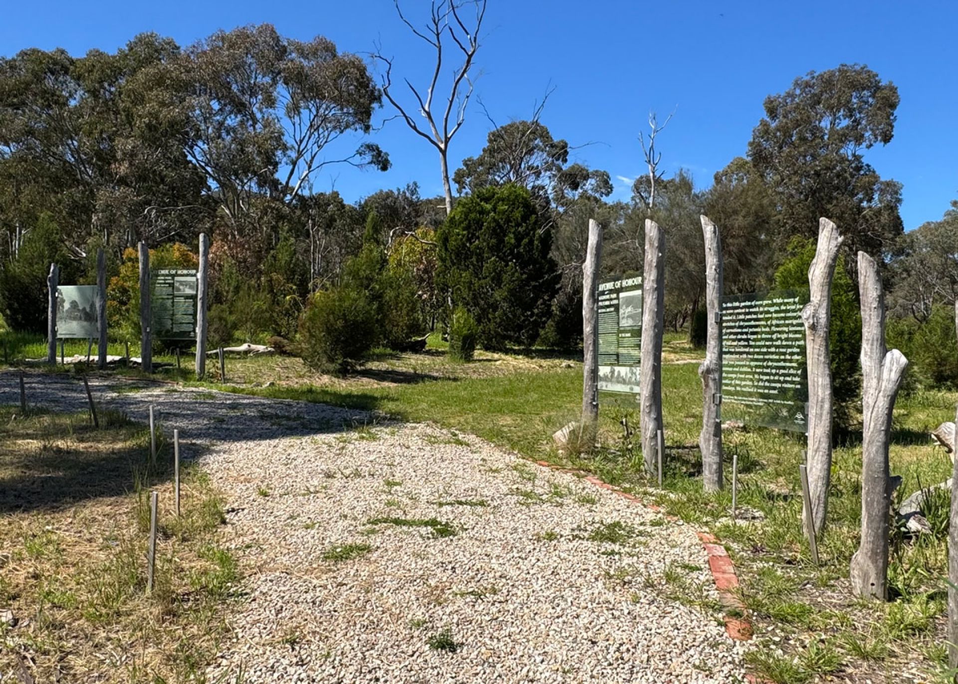 Wadmore Park - Pulyonna Wirra Avenue of Honour