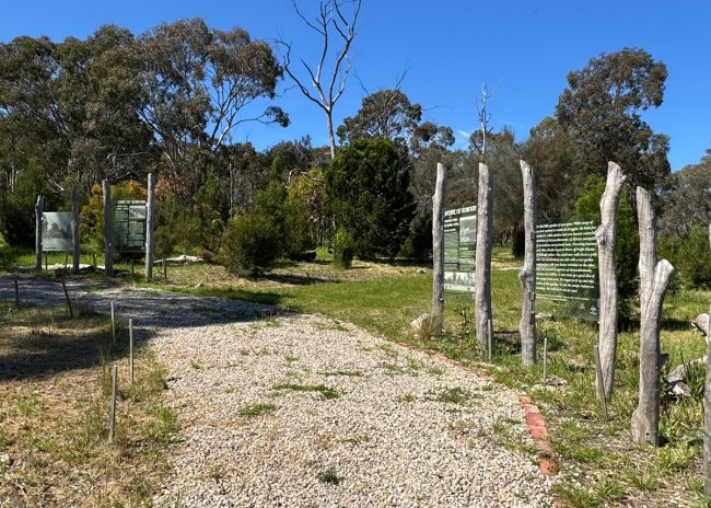 Wadmore Park - Pulyonna Wirra Avenue of Honour