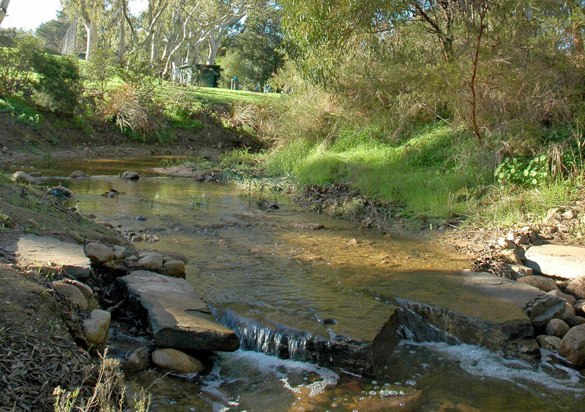 Nightingale Reserve Creek