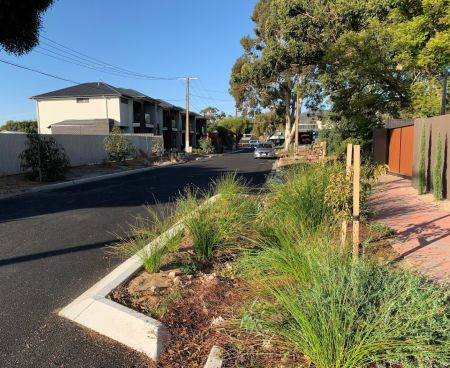 Tree Verge & Verge Garden