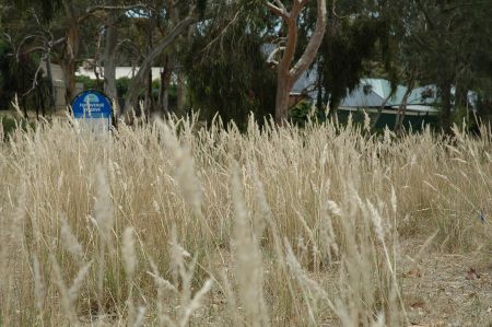 Fox Avenue Reserve