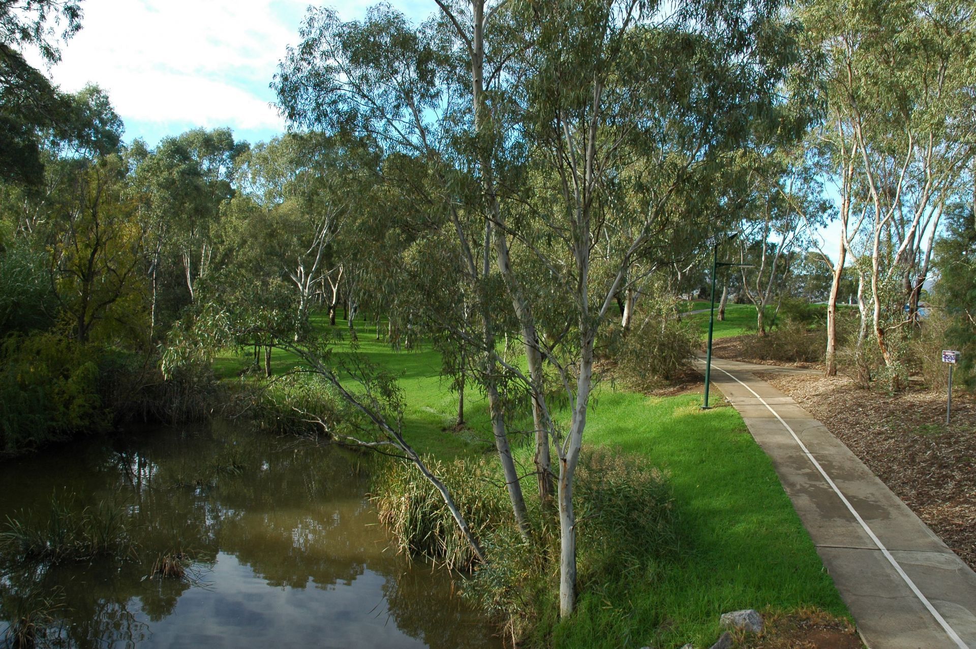 Image of Linear Park path beside the River Torrens.