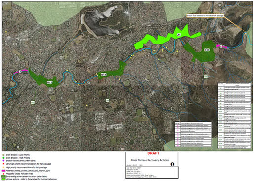 River Torrens Recovery Project 3