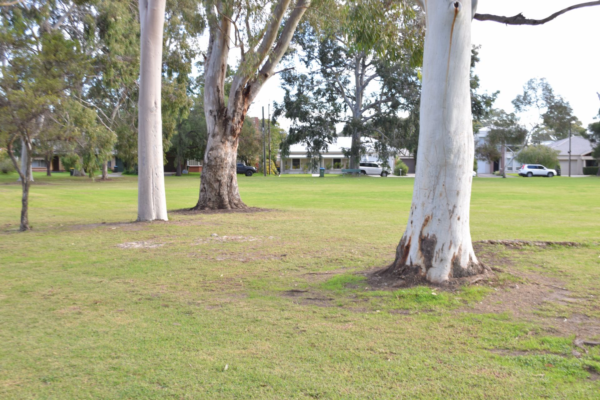 Botanic Grove Reserve